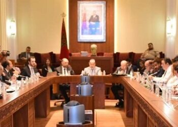 الميثاق الجديد للاستثمار نص مهيكل لسياسة الدولة يستلزم مناقشة جادة ومستفيضة