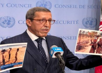 هلال في مجلس الأمن: المجموعات المسلحة الإرهابية والانفصالية تمس باستقرار الدول