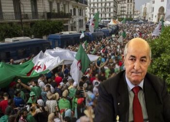 نائبة بالبرلمان الأوروبي تدين انتهاك حقوق الإنسان في الجزائر