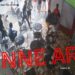 الجديدة…استخدام السلاح لتحييد الخطر  الصادر عن مجرم
