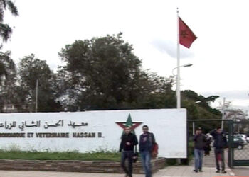 معهد الحسن الثاني للزراعة والبيطرة يعقد اتفاقية شراكة مع الجامعة العبرية بالقدس