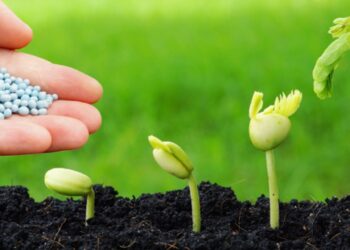 الدار البيضاء : المنتدى الإفريقي الثالث لتمويل الأسمدة من 12 إلى 13 أكتوبر الجاري