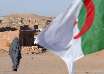 بالأمم المتحدة، وزيرة زامبية سابقة تندد بالمواقف “المتجاوزة” للجزائر وصنيعتها “البوليساريو”