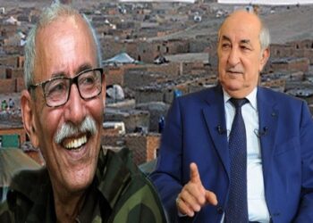 وزيرة زامبية سابقة تندد بالمواقف “المتجاوزة” للجزائر و”البوليساريو”