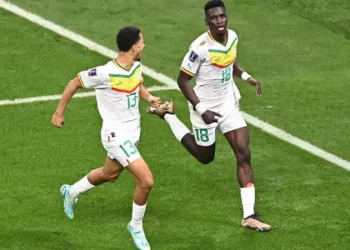 كأس العالم 2022: السنغال وهولندا تتأهلان لدور الـ16 في مونديال قطر