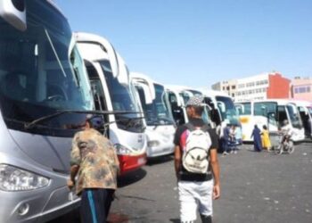 الحكومة تقر دعما جديدا لفائدة مهنيي النقل