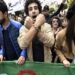 مراسلة الأمم المتحدة بخصوص اختفاء قسري لناشط في الحراك بالجزائر