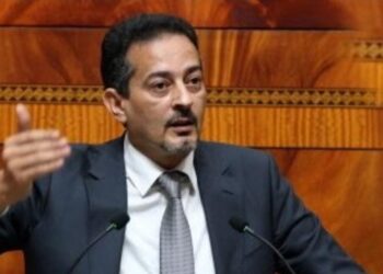 المهاجري يستقيل من لجنة الداخلية بمجلس النواب
