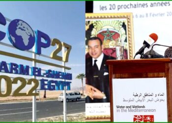 كوب 27.. مؤسسة محمد السادس لحماية البيئة والاتحاد العام لمقاولات المغرب يساهمان في إطلاق مبادرة لتعزيز القدرة على التكيف المناخي