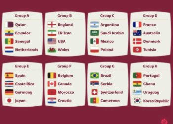 نصف الألمان ضد كأس العالم  2022