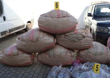 توقيف شخصين ضمن عصابة تنشط في الاتجار في المخدرات بسطات