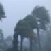 امطار مهمة ورعدية شمال المغرب والريف الغربي وطقس بارد في توقعات اليوم الأربعاء