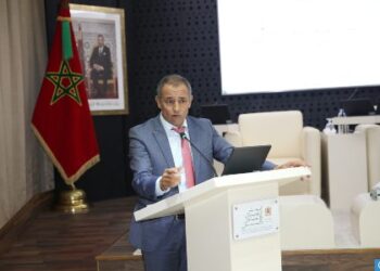 المجلس الاقتصادي يدعو إلى حكامة متجددة للسياسات العمومية في قطاع مغاربة العالم
