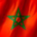 حماية الرموز الوطنية