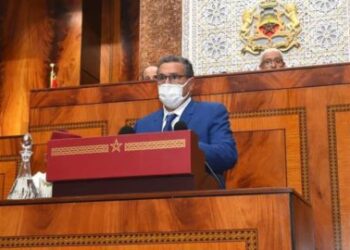برلمانية لأخنوش: انحزتم بشكل مفضوح لصالح الشركات الكبرى