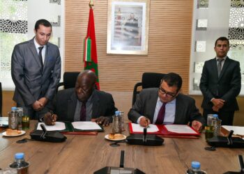 المعهد الإفريقي للتنمية يبرز الاهتمام الخاص الذي يوليه جلالة الملك للتعاون بين بلدان الجنوب