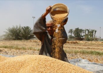 السيادة الغذائية: قمة دكار2 “تطمح إلى المضي نحو أهداف ملموسة” 