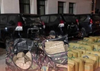 حجز مخدرات وهواتف باسبانيا تورط مهربي الحشيش بالشمال