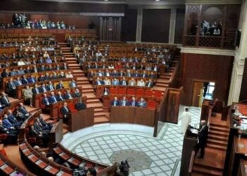 مجلس الحكومة يصادق على مشروع قانون يتعلق بالشركات الجهوية متعددة الخدمات