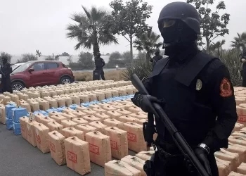إحباط محاولة تهريب طن من مخدر الشيرا بالراشيدية