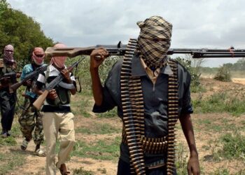 مقتل قيادي بتنظيم الدولة الإسلامية في عملية إنزال أميركية بالصومال