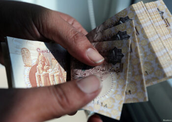 الجنيه المصري ينخفض الى النصف والتضخم يقارب 22بالمائة