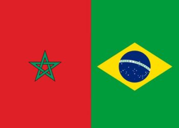 المغرب مركز واعد وتنافسي للنشاط التصديري للبرازيل