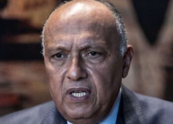 وزير الخارجية المصري يتوجه الإثنين الى سوريا وتركيا للمرة الأولى منذ عقد