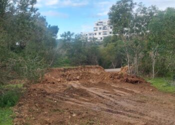 خطير ..هل ستتحوّل غابة جبل “كدية الطيفور” بالمضيق إلى تجزئات سكنية؟