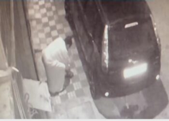 تلاتة أشهر حبسا نافدا لقاتل قطة بتطوان