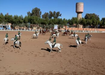 مجندون يتابعون بالمجموعة الثانية لسرايا الخيالة التابعة للقوات المسلحة الملكية مرحلة التخصص في الفروسية