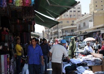 الطبقة الوسطى ضمانة الاستقرار