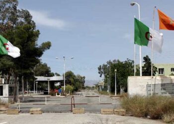 أمام لجنة المخدرات بفيينا.. المغرب يفضح أكاذيب الجزائر المنتجة والراعية للتهريب