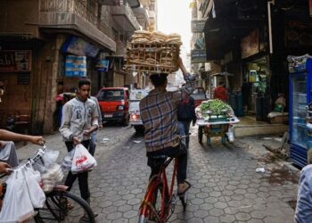 توقيف شبكة إجرامية في مصر بتهمة الاحتيال عبر الانترنت والاستيلاء على نحو 600 ألف دولار