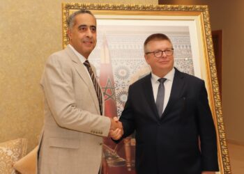 المدير العام للديستي يستقبل رئيس المكتب الاتحادي الألماني لحماية الدستور