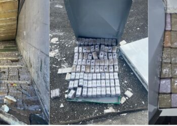 إحباط محاولة تهريب خمس أطنان و438 كلغ من مخدر الشيرا بميناء طنجة