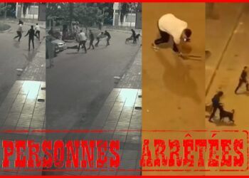 تبادل العنف بأسلحة بيضاء وكلاب شرسة يحرك شرطة الجديدة