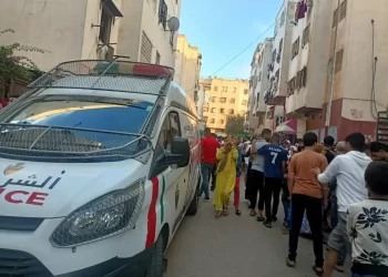 اعتقال 22 شخصا بشبهة الابتزاز عن طريق ” الزطاطة” بمكناس