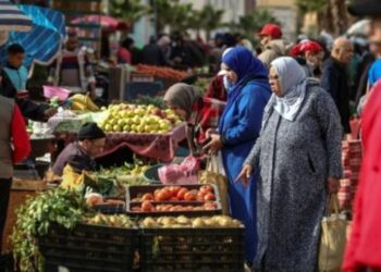 تساؤلات حول فاعلية النموذج الزراعي في المغرب في مواجهة تضخم قياسي والتلقبات المناخية