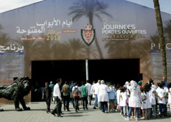 إبراز أدوار مصالح الأمن الوطني في مجال حماية النساء والأطفال من العنف