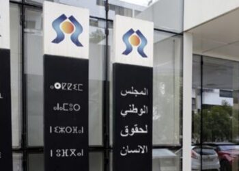 تقرير: تحول الأشكال الجديدة لممارسة حرية التعبير إلى مرتع للأخبار الزائفة