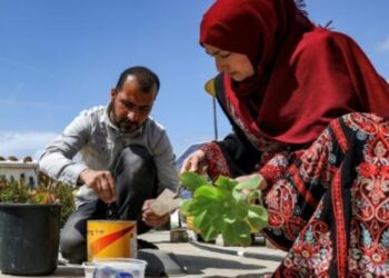 العوز يخلق محاولة اقتصاد بديل في غزة لتوفير لقمة العيش