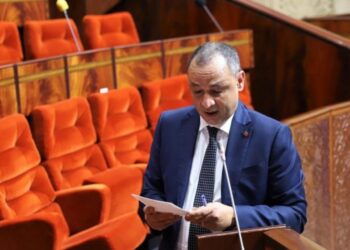 الموافقة على 1539 مشروعا في مجال حماية الصناعة المحلية إلى حدود 8 ماي 2023
