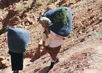 المرأة الجبلية وتثمين الموروث المادي واللامادي موضوع مناظرة وطنية بخنيفرة