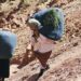 المرأة الجبلية وتثمين الموروث المادي واللامادي موضوع مناظرة وطنية بخنيفرة