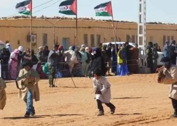 مخيمات تندوف.. بالأمم المتحدة، إدانة الانتهاكات الصارخة لحقوق الإنسان