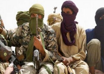 مالي تفرج عن جهادي ين في إطار صفقة تبادل سجناء