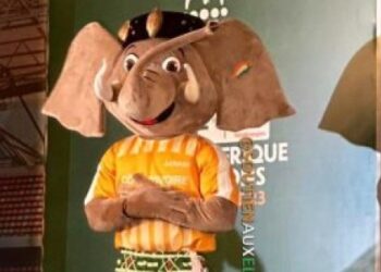 الكشف عن تميمة كأس أمم إفريقيا 2023