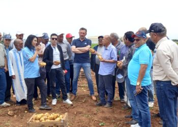 خبراء ينصحون مزارعي المنطقة الشرقية بادخال بذور بطاطس مقاومة للجفاف
