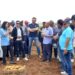 خبراء ينصحون مزارعي المنطقة الشرقية بادخال بذور بطاطس مقاومة للجفاف